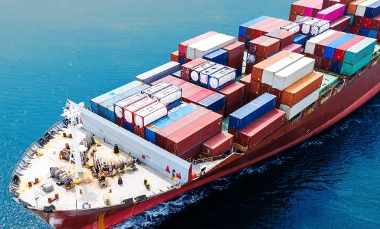 GoNest International Shipping
